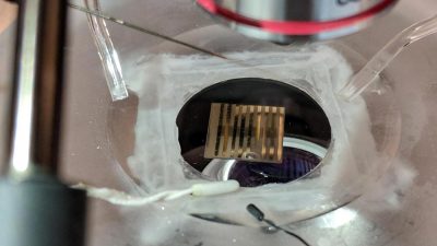 Crean un biosensor cuántico que escucha lo que dice el cerebro
