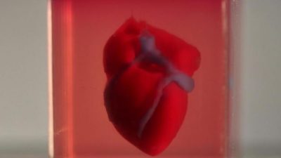 Crean un corazón impreso en 3D con tejido humano
