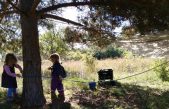 Escuelas-bosque: nueva alternativa en la educación infantil