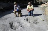 Por primera vez se encuentran impresiones de la piel de un dinosaurio perfectamente preservadas