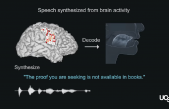 Discurso sintético generado a partir de grabaciones cerebrales