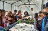 Acuaponia: un proyecto para potenciar la agricultura familiar y brindar oportunidades de microempendimientos