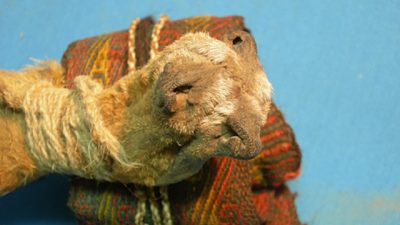 La ayahuasca ya se consumía hace mil años en rituales precolombinos