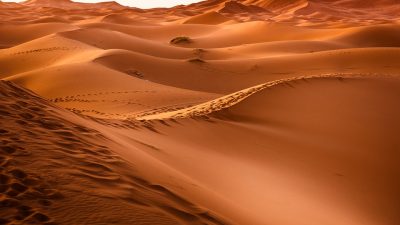 ¿Deberíamos convertir el desierto del Sahara en una inmensa planta solar?
