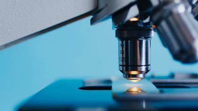 Los científicos anuncian la llegada de un nuevo siglo de microscopía superrápida