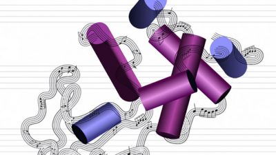 Logran convertir proteínas en música y viceversa