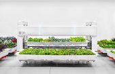 Robots granjeros: el sabroso futuro de la agricultura industrial