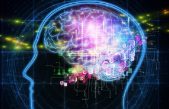 ¿Qué profesiones hacen que el cerebro se encoja?