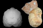 El ‘Homo sapiens’ vivía en el territorio que hoy es Grecia hace ya 210.000 años