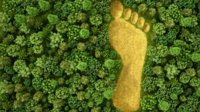 3 estrategias que deberías implementar para reducir tu huella de carbono