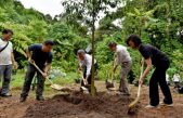 Estudio determina que plantar árboles podría ser lo más efectivo para salvar la civilización