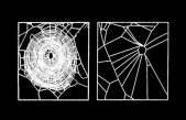 Las arañas drogadas… y sus redes