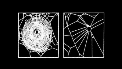 Las arañas drogadas… y sus redes