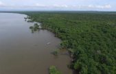 Colombia, despensa de carbono azul