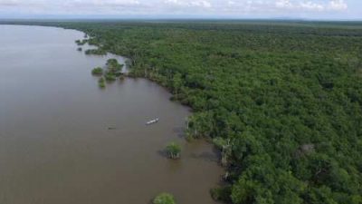 Colombia, despensa de carbono azul