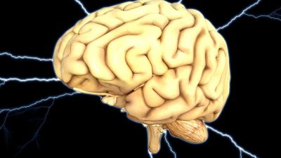 Entrar al cerebro de otra persona es posible e importante: entiende la empatía