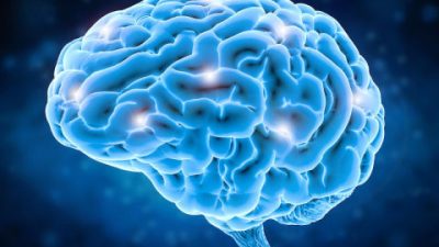 Ahora se pueden manipular células cerebrales de animales de laboratorio usando un smartphone