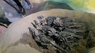 Los dinosaurios también han ido al espacio: éste fue el primer fósil que lo consiguió