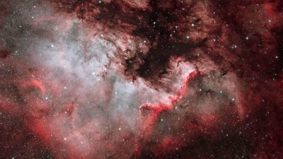 Las mejores fotografías científicas del año, por la Royal Photographic Society