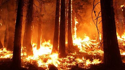 La NASA capta las ‘nubes de fuego’ generadas por los incendios forestales