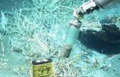 Hallan en el golfo de México un microbio que degrada petróleo en gases de efecto invernadero