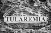 ¿Qué es la tularemia? Causas y síntomas