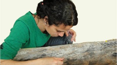 Estudian un yacimiento de más de 5.000 años hallado en las aguas del lago Bracciano en Roma