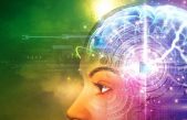 Una guía para alterar naturalmente los neurotransmisores del bienestar