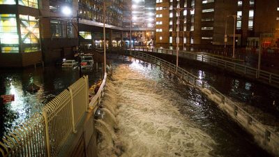 Árboles, muros y techos blancos: así lucha Nueva York contra el cambio climático