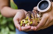 Por qué comer un puñado de frutos secos más al día puede ser una gran ayuda para adelgazar