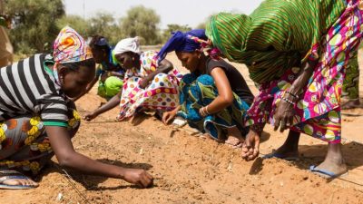 La «Gran Muralla Verde»: Una muralla de árboles cruzando todo el África