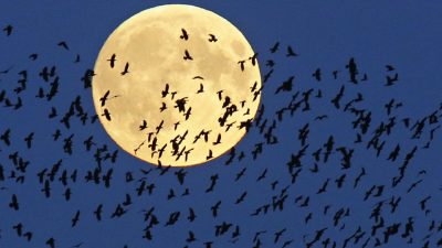 El viernes 13 de Luna llena y el fenómeno que no se repetirá hasta 2049