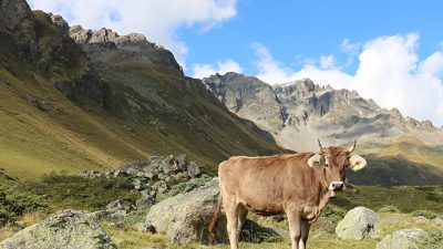 Un estudio arqueológico muestra cómo los seres humanos han transformado la Tierra en los últimos diez mil años