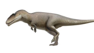 Hallan una nueva especie de dinosaurio con ‘dientes de tiburón’