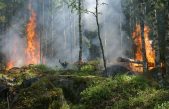 Nueva herramienta para prevenir incendios: un fluido semejante a un gel