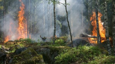 Nueva herramienta para prevenir incendios: un fluido semejante a un gel