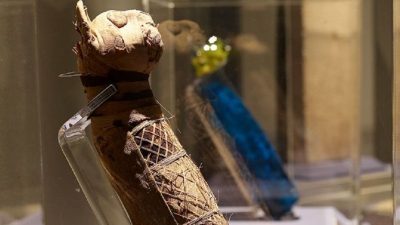 Científicos descubren algo inesperado y asombroso en una momia felina egipcia
