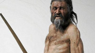 Los musgos que comió Ötzi, el hombre del hielo, recrean sus últimos pasos