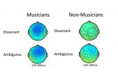 La percepción musical, ¿nace o se hace?
