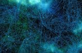Los cerebros de personas más inteligentes se caracterizan por interacciones temporalmente más estables en sus redes neuronales