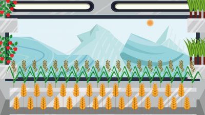 ¿Cultivar verduras en el espacio? Cómo cosechar plantas en condiciones inhóspitas