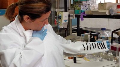 Diseñan una camiseta que produce electricidad con la diferencia de temperatura entre el cuerpo y el entorno
