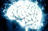 Crean un dispositivo similar al cerebro… ¿otro paso hacia máquinas pensantes?