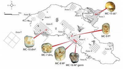 Dientes humanos de hace 40 mil años hallados en Israel