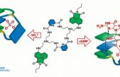 Crean una molécula que permite curar enfermedades cardiacas