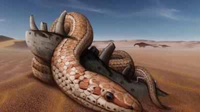 Revelan cómo era la sonrisa de la serpiente Najash