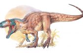 Descubren en Chubut uno de los dinosaurios carnívoros más antiguos del Jurásico