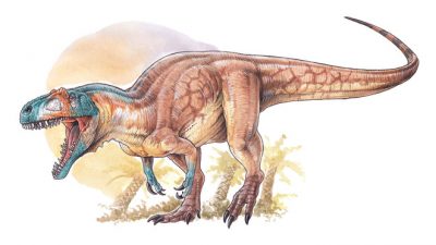 Descubren en Chubut uno de los dinosaurios carnívoros más antiguos del Jurásico