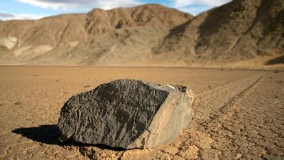 Hallan el rastro de una misteriosa piedra reptante que se movía sola entre los dinosaurios