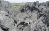 El “Bosque de piedra” más grande del mundo se encuentra en la isla más antigua del mundo
